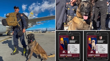 Dastan y Gasper, los perros rescatistas que trabajan en la búsqueda de sobrevivientes del terremoto en Cali