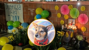 Andrea Padilla brindó actualización del