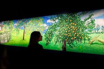 La exposición Un año en