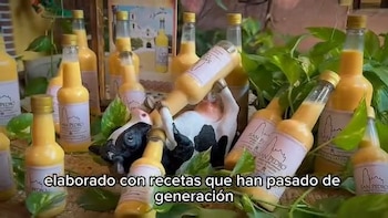 Varias botellas de vidrio con líquido amarillo, etiquetas blancas de San Pedro, una figura de vaca y plantas de hojas verdes