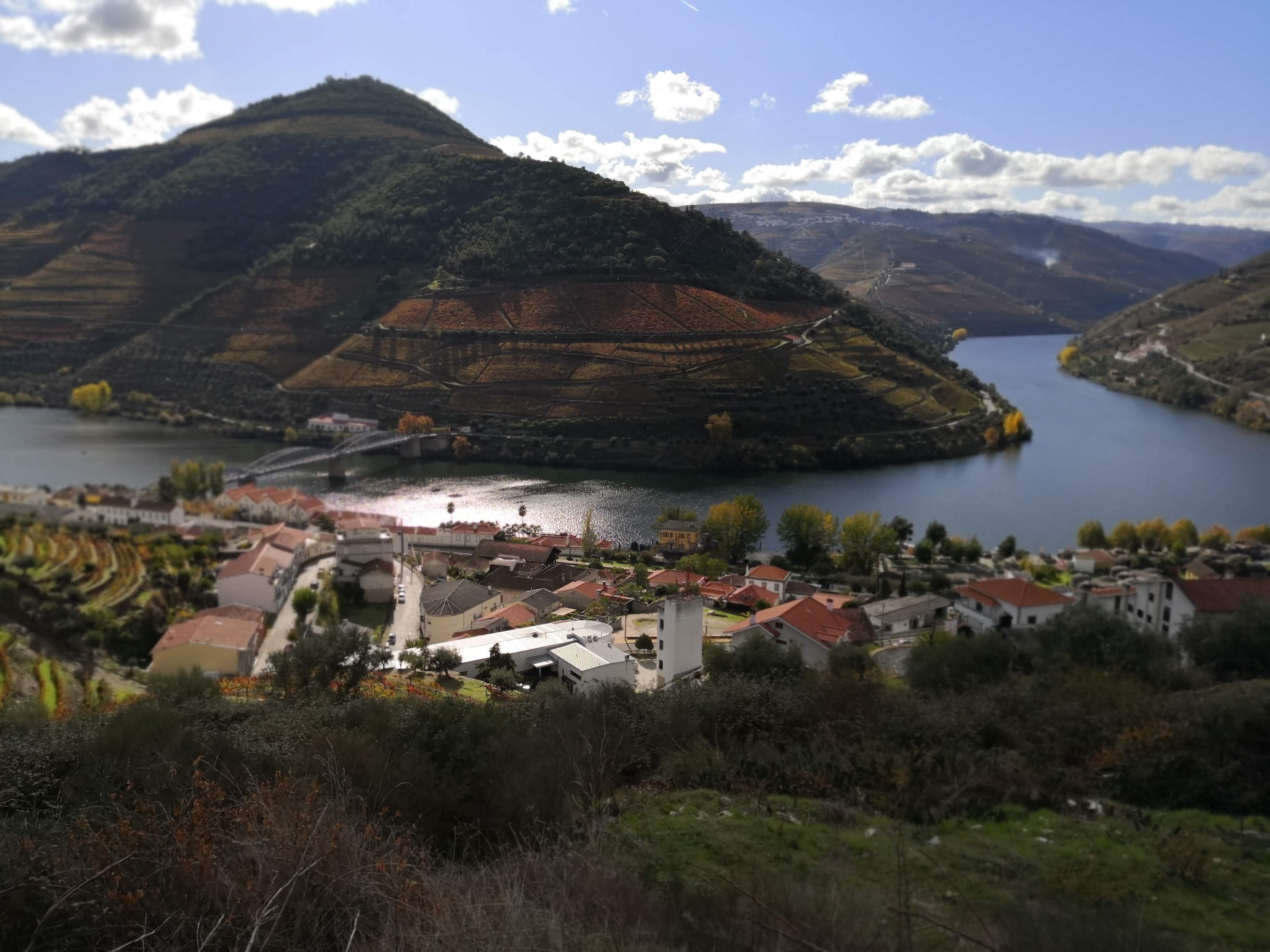 El Valle del Duero en Portugal combina terrazas de viñedos en suelos de esquisto y la tradicional pisa de uva, base del famoso vino de Oporto (San Jorge Pinho, Wikimedia Commons)