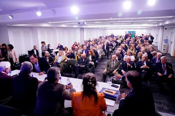 elecciones entidades