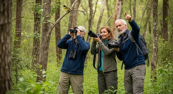 La observación experta de aves