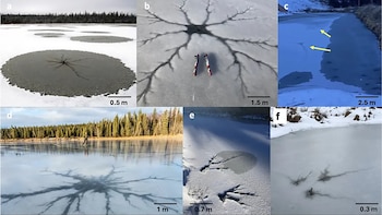 Las “estrellas de lago” surgen