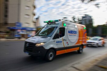 ECCO fue fundada en el