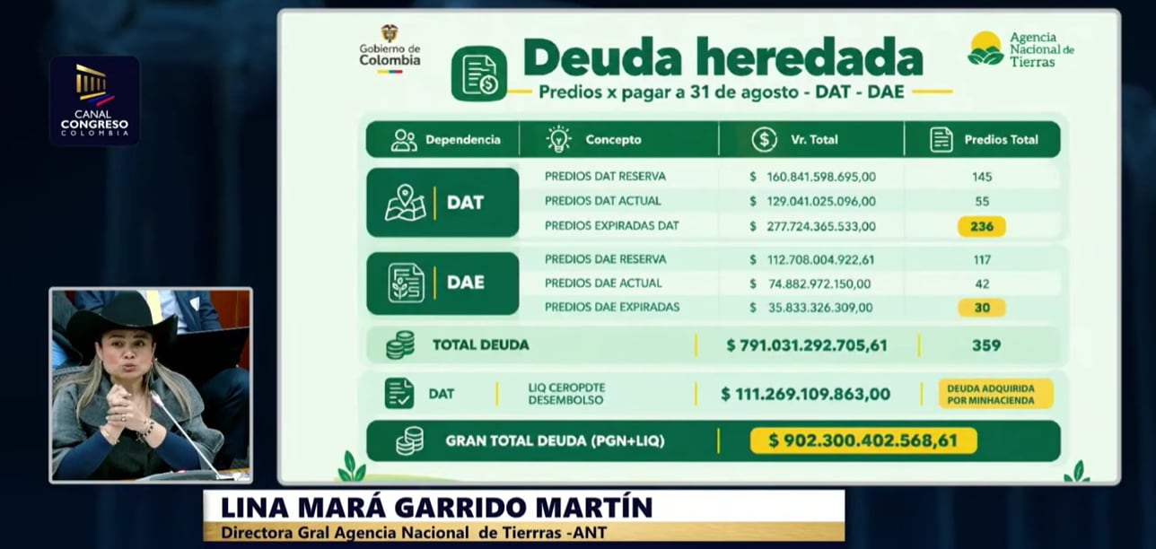 La directora de la Agencia Nacional de Tierras, Lina Garrido, informó que de 3,9 millones de hectáreas previstas para formalización solo se alcanzó el 41% de la meta - crédito Canal Congreso/YouTube