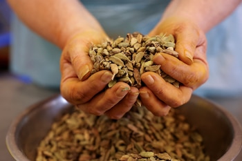 ARCHIVO: Guatemala lidera la exportación mundial de cardamomo, aportando más del 50% al mercado internacional según la FAO./ (REUTERS/Temilade Adelaja)