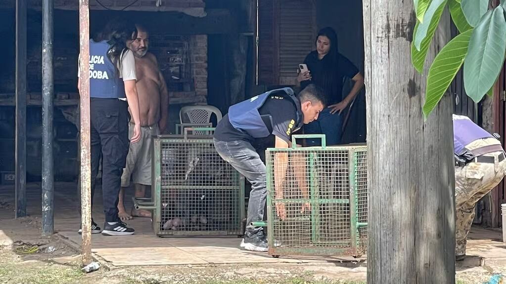 El dueño de los perros se resistió a entregarlos y generó tensión entre vecinos y familiares de la víctima (El Doce TV)