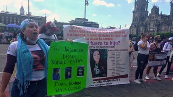 Como las Madres de Plaza