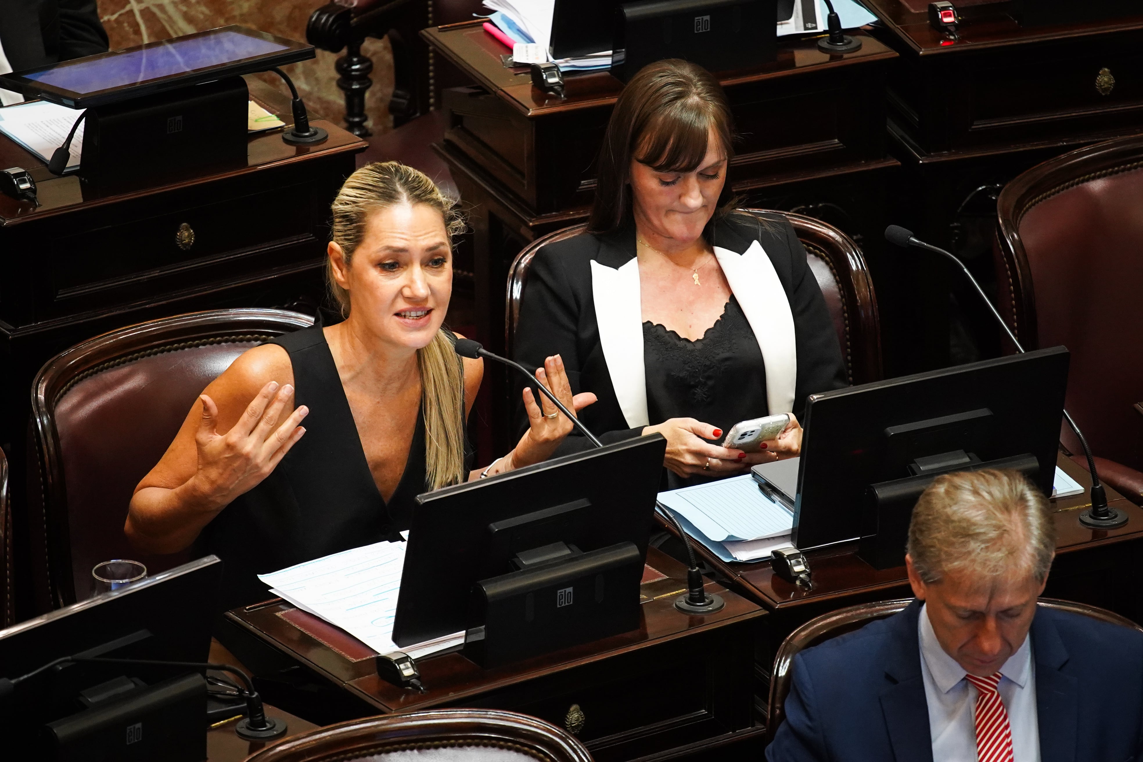 Carolina Losada acompaña al proyecto oficialista (RSFotos)