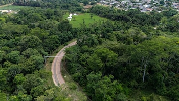 Puentes en la Amazonía de Brasil permiten salvar animales de atropellos