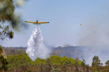 Un hidroavión trabaja en las labores de extinción del incendio forestal declarado en la tarde de este jueves en el paraje Raboconejo de Niebla (Huelva). (EFE/Alberto Díaz)