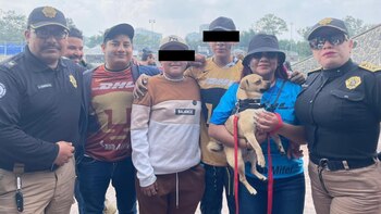 Al final, cuatro perritos consiguieron