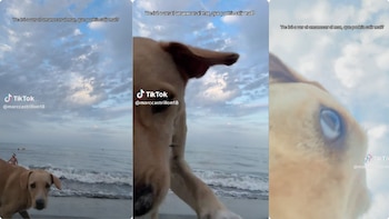 Video · Turista en Santa