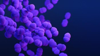 Las 9 bacterias y hongos