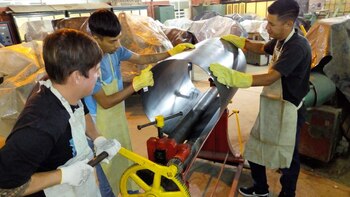 Impulsan un proyecto para que