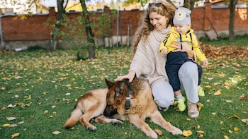 Hablar a tu bebé de una forma alegre y lenta tiene el mismo efecto en un perro y capta más su atención