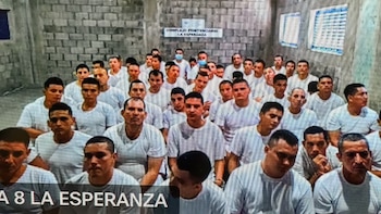 Justicia de El Salvador condena a 200 pandilleros de la MS-13 con penas de hasta 121 años