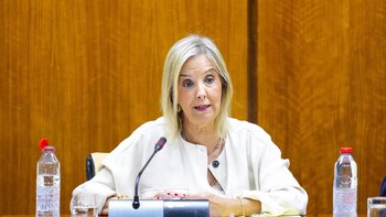 Fiscal superior de Andalucía considera