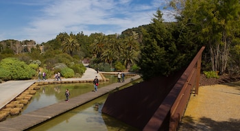 Jardín Botánico de Barcelona