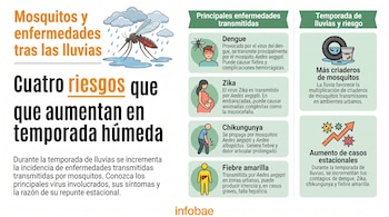 Infografía con imágenes de un mosquito bajo la lluvia, personas con síntomas de enfermedades y representaciones de criaderos y aumento de casos.