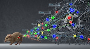 Las nuevas soluciones automatizadas del