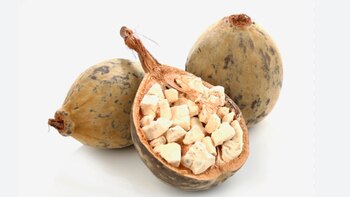 Se trata de un fruto