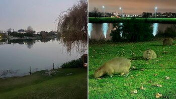 Los alrededores de la casa