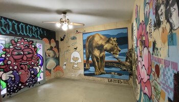 Casa Libre- artistas- Buenos Aires