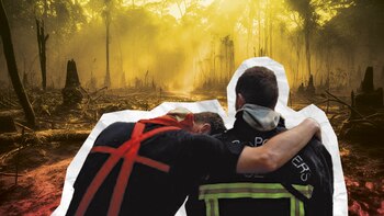 Gustavo Petro afirmó que el