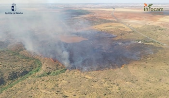 Una gran columna de humo gris de un incendio que ha arrasado el campo amarillo