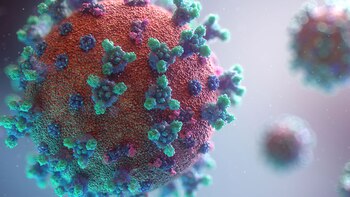 Confirman la presencia de las