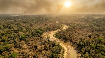 Vista aérea de un río de bajo caudal que serpentea entre árboles verdes y secos bajo un cielo brumoso e iluminado por el sol.