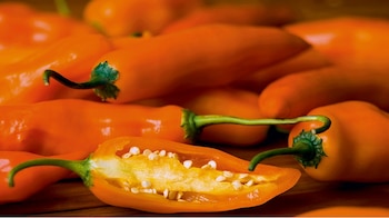 Ají amarillo: el alma de