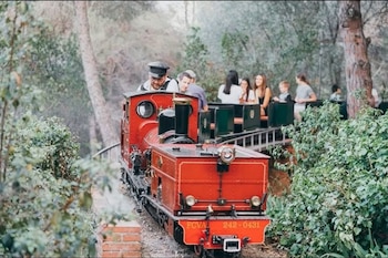 Ferrocarril de vapor a escala