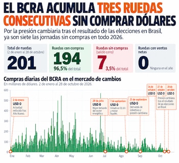 Infografía con cifras y un gráfico de barras sobre las compras diarias de dólares del Banco Central de la República Argentina durante el año