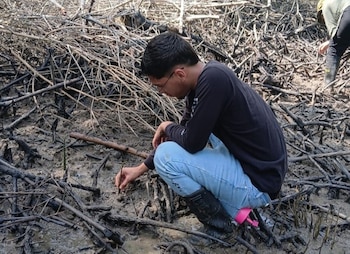 Generalmente se realizan labores de control y vigilancia dentro de los límites del área protegida de manglares que se encuentra en la bahía. (MiAmbiente)