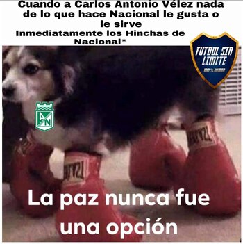 El meme fue compartido debido
