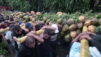 Centenares de salvadoreños cargando frutas