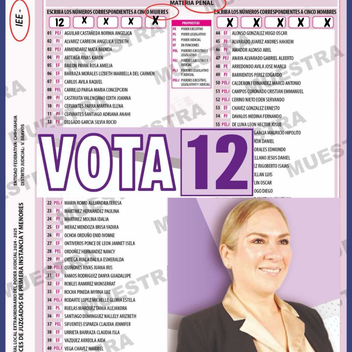 Propaganda electoral a través de redes sociales. (Facebook: Silvia Rocio Delgado Garcia Abogada Mexicana)