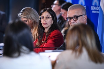 Reunión plenaria de las comisiones de Relaciones Exteriores y Culto y de Industria y Comercio