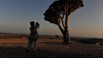 La situación de los 20