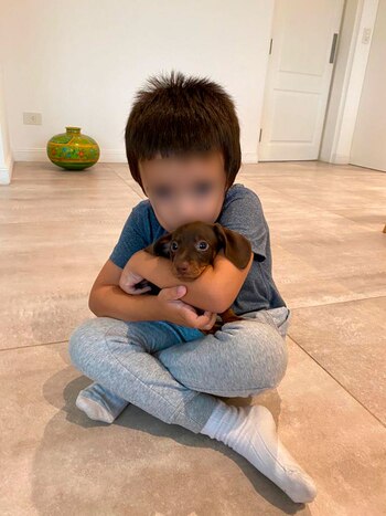 "Es una locura. Para la