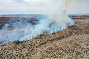 Los incendios arrasaron más de 566 mil hectáreas, incluyendo el Incendio de Smokehouse Creek, el mayor en la historia de Texas. (AP Foto/David Erickson)