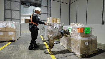 Gobierno de Guatemala (Imagen Ilustrativa