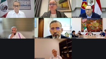 Ante tensiones por T-MEC, Roberto Velasco llama a mirar "ventana de oportunidad" en Asia. (Foto: SRE)