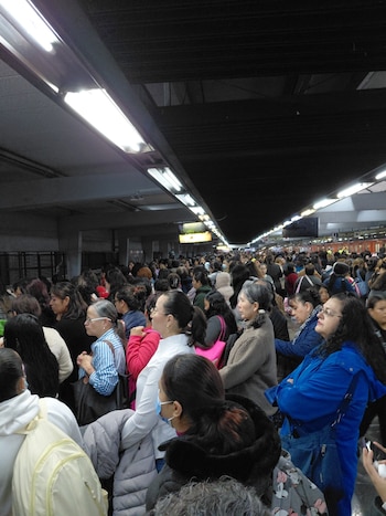 Avance en tiempo real de las diversas líneas de la red de transporte público capitalino.