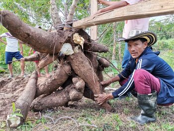 Foto tomada de redes sociales.