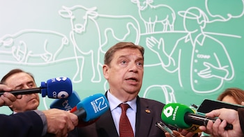 Planas, "cauteloso" por los anuncios