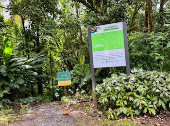 Afirman que la intención es que las preguntas nacionales sobre los bosques encuentren financiamiento dentro del país. (MiAmbiente)